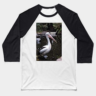 Australian Pelican Baseball T-Shirt